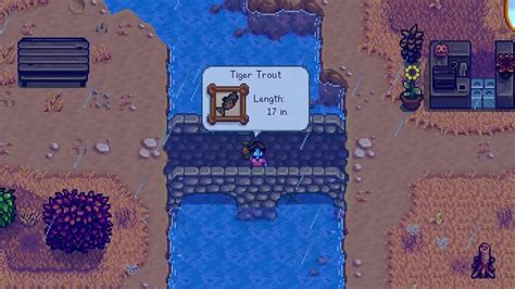 tiger trout locations.